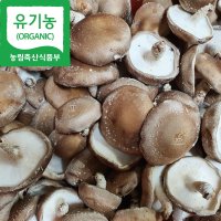 [해담은농장] 유기농 생표고버섯 1kg  파지1kg  1개