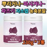 차즈기 자소엽 차소엽 차조기 자소엽 농축 분말 가루 붉은 깻잎 쉐이크 파우더 추출물 차 대용량