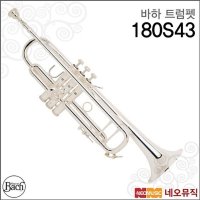 바하 바하 트럼펫 Bach Trumpet Bb 전문가용 180S43