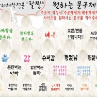 회갑 환갑 고희 칠순 기념 잔치 단체 가족티 사진 촬영 후드 한글 옷 티 셔츠 룩 만들기 쇼핑몰