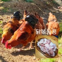 즉시손질 닭볶음용 토종닭 2kg~2.5kg 생닭 살아있닭