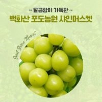 2022년 프리미엄 상주 모동 샤인머스켓 2kg 달콤세트