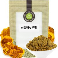 상황버섯 분말 가루 100g 국내산