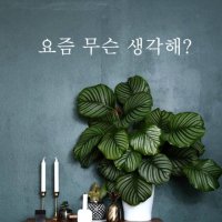 스티커비치 감성문구 레터링 현관스티커 03 M인테리어 데칼 스티커