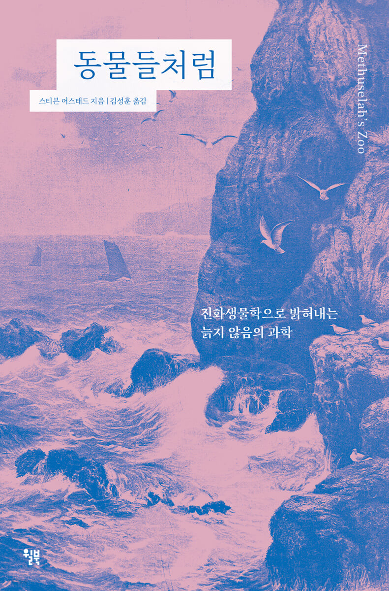 마이북 이미지