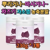 차조기 자소엽 차즈기 국산 차소엽 붉은 깻잎 깻입 농축 분말 가루 파우더 추출물 차 마시는