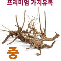 프리미엄 가지유목 중 15 25cm미만