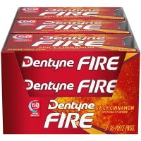 Dentyne Fire 덴타인 파이어 스파이시 시나몬 매운 계피맛 무설탕 껌 9개