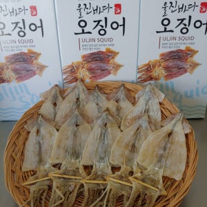 울진바다 마른오징어 10마리 470g (선동-국내산)[470g(10마리)]