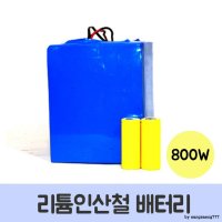 광원전기 광원 리튬인산철 배터리 800W