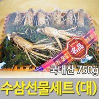 수삼선물세트 대 750g