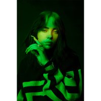 빌리 아일리시 Billie Eilish 셀럽 포스터 브로마이드 A5 A4 A3 A2 뮤지션 DMC-308