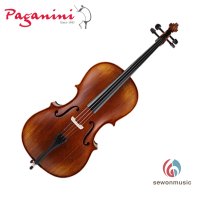 파가니니 첼로 PAGANINI PVCS-101