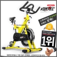 보텍 스핀바이크 V830N