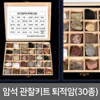 암석 관찰키트 퇴적암 30종