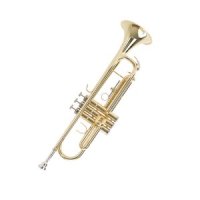 쾰른 저머니 Koln Germany 교육용 입문용 트럼펫 트럼팻 Trumpet KTP-280