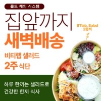 [비티랩] 샐러드 정기배송 2주