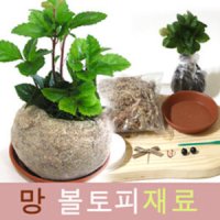 망 토피어리재료