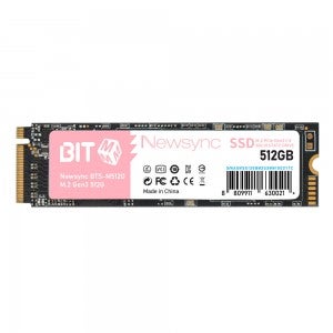 비트엠 Newsync BITS M.2 NVMe (512GB)
