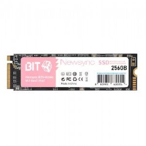 비트엠 Newsync BITS M.2 NVMe (256GB)