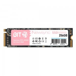비트엠 Newsync BITS M.2 NVMe (256GB)