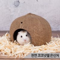 천연 코코넛쉘 햄스터 은신처 코코넛장식 사이즈랜덤