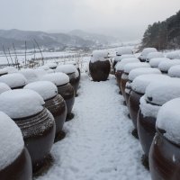 전통 재래식시골 용추골 2년이상 숙성 된장 500g