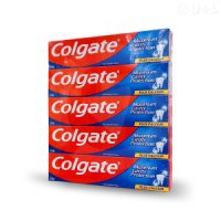 콜게이트 Colgate 치약 그레이트 레귤러 플레이버 250gx5개 코스트코