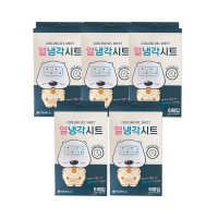 곰탱이 어린이 열냉각시트 6매입 x 5통