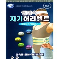 웰팜스 웰팜스 자기 허리보호대 대 의료용 복대 디스크