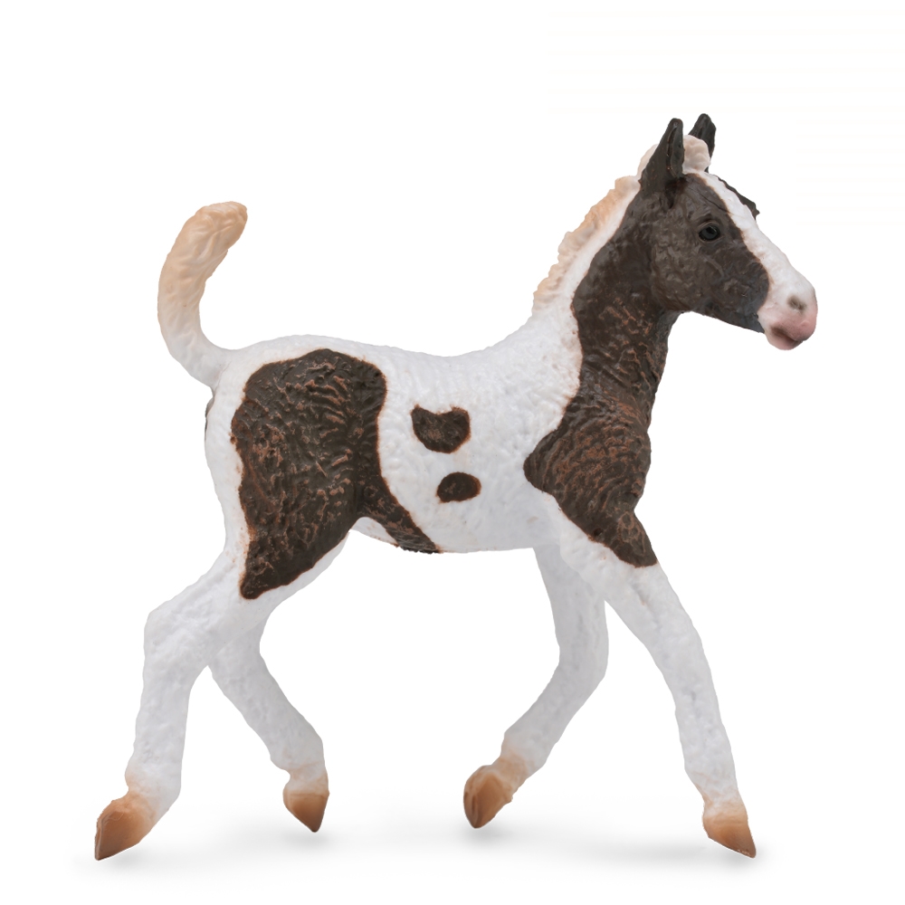 컬렉타 88781 <b>컬리</b> 망아지