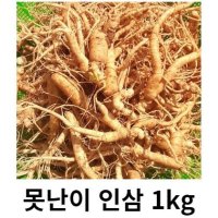 인삼 못난이 인삼 5년근 6년근 1kg 파지 못난이 삼계탕 인삼 홍삼 못난이 인삼 1kg 홍삼용  1kg 인삼 파삼 세척( 0 )  1개