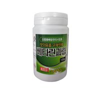 정화조 살충제 모기유충제 모기유충약 베타린과립100g 변기용  100g  1개