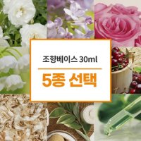 [조향베이스/조향원료]  30ml 선택 5종 세트