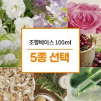 [조향베이스/조향원료]  100ml 선택 5종 세트