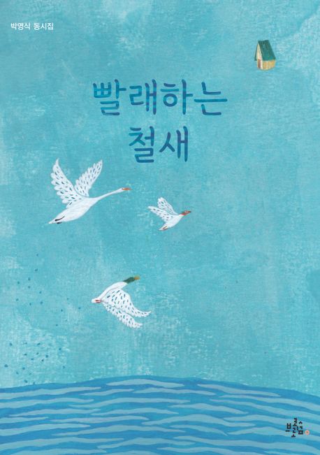 빨래하는 철새 : 박영식 동시집
