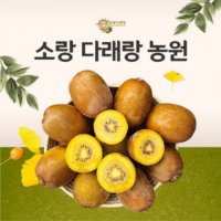 국내산 고당도 키위