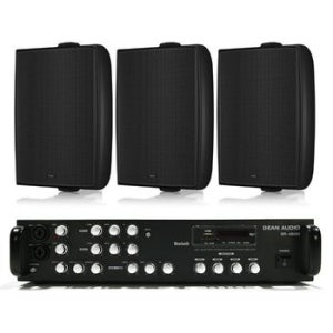 TANNOY DVS8 카페 고음질 8인치 스피커 RS45TD83 블랙