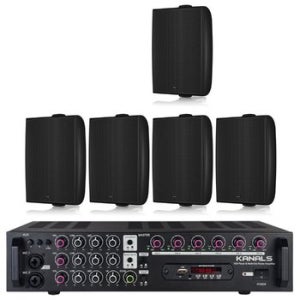 TANNOY DVS4 카페 음식점 술집 스피커 RE60TD45 블랙