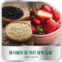 글락소스미스클라인 폴리덴트 폴리덴트 의치 부착재 무향 70gx2개 단일옵션