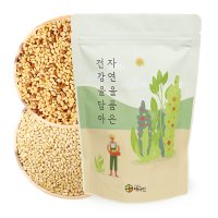 태극인 자연닮음 국산 잣 1kg