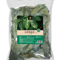 그라비올라 건재 300g