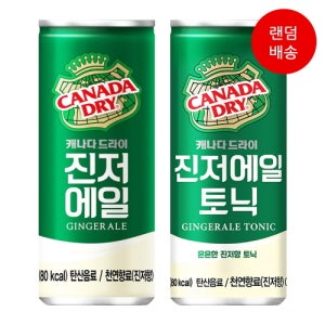 캐나다드라이 진저에일 250ml (30캔)
