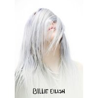 빌리 아일리시 Billie Eilish 대형 셀럽 포스터 브로마이드 액자 뮤지션 TMC-294