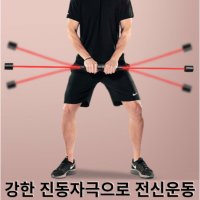 전신 코어 운동 플렉시바 진동바 스트레칭봉 다이어트