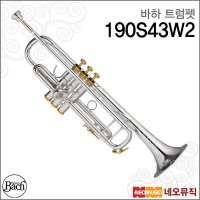 BACH 바하 바하트럼펫 Bach Trumpet 전문가용 190S43W2