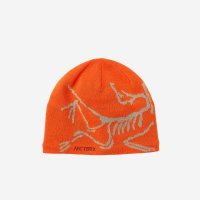 아크테릭스 버드 헤드 토크 페놈 Arc teryx Bird Head Toque Ph이엔오m 298036756 83225