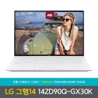 LG전자 LG그램 14ZD90Q-GX30K