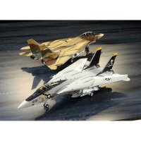 타미야 1 48 톰캣 프라모델 F-14A F-14D