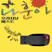 협회승인 나훈아 USB 앨범 정 너 타향살이 SM004